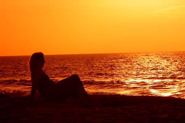 Free Introductory Sessions