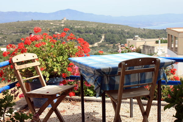 Free Introductory Sessions