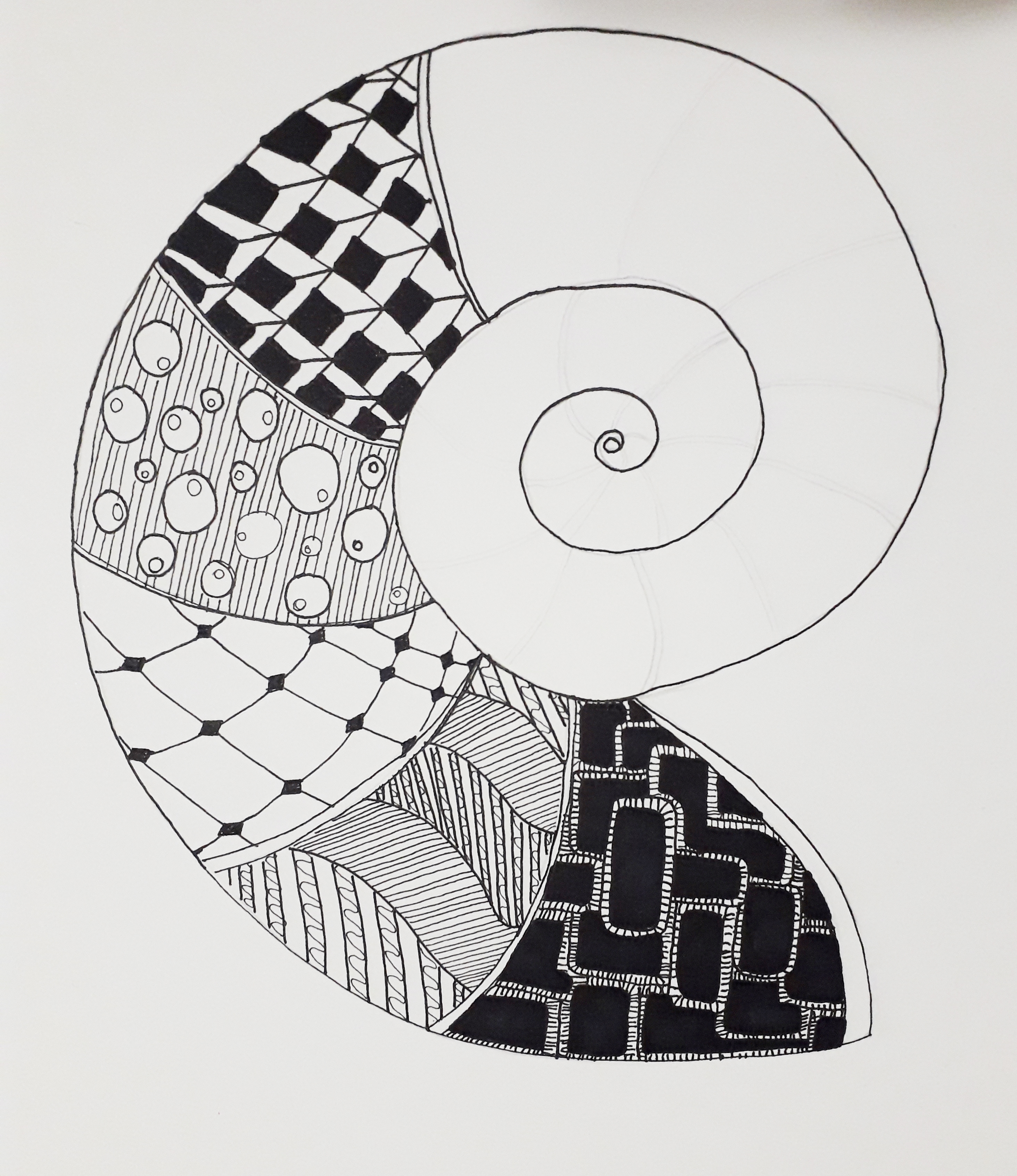 Nautilus (unfinished)