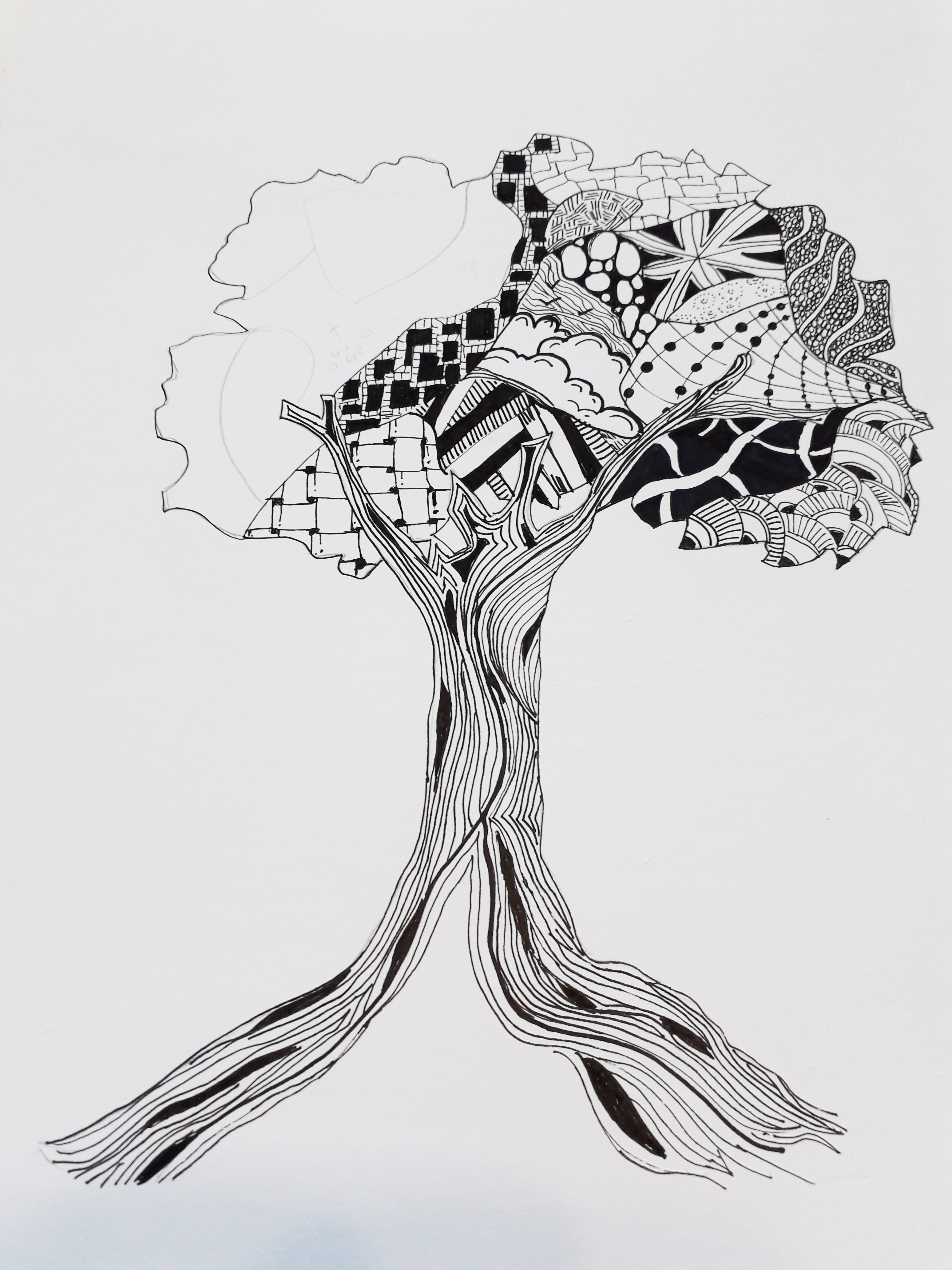 Strong roots (unfinished)